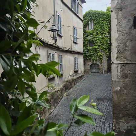 Papalepapale * Viterbo